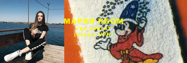 шишки Краснослободск