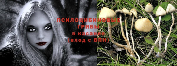 шишки Краснослободск
