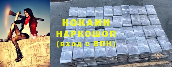 шишки Краснослободск