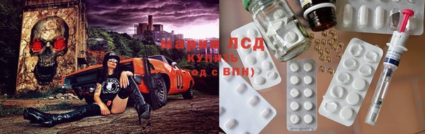 шишки Краснослободск