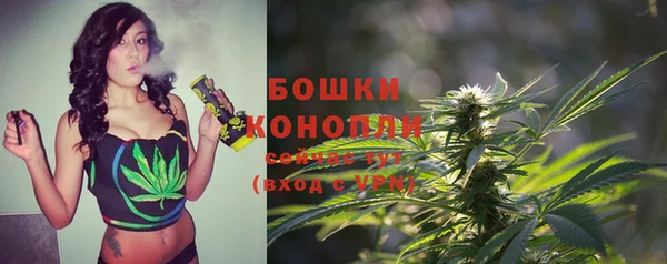 шишки Краснослободск