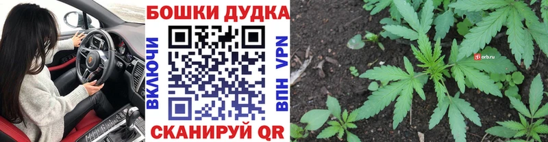 ОМГ ОМГ вход  что такое   Каневская  Бошки марихуана ГИДРОПОН 